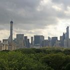 view from the rooftop bar of the Metropolitan Museum