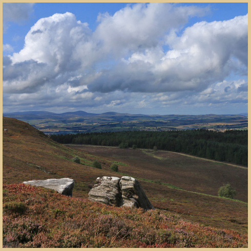 view from the simonside hills