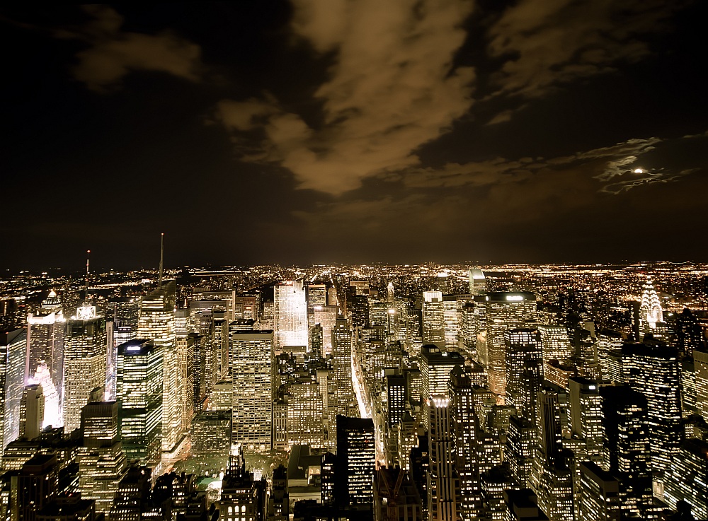 View from the Top  Empire State Building - Manhattan