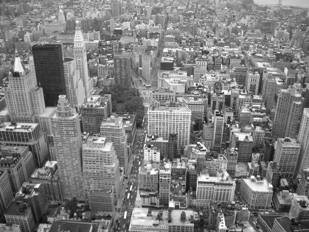 View from the top of the city