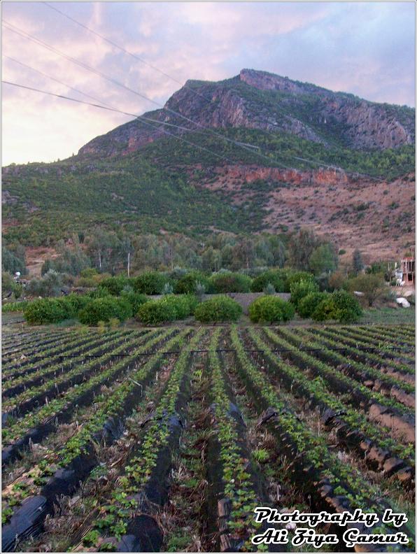 View from the village of Karadere