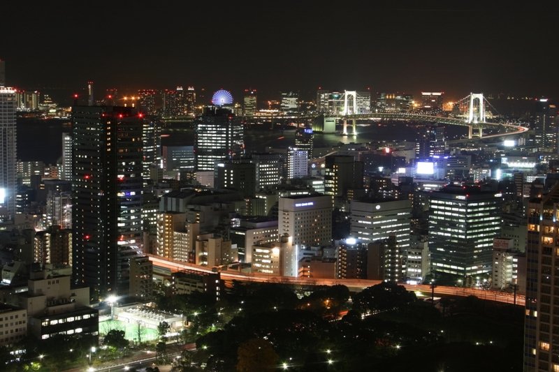 view from tokyo tower