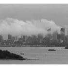 View From Watsons Bay