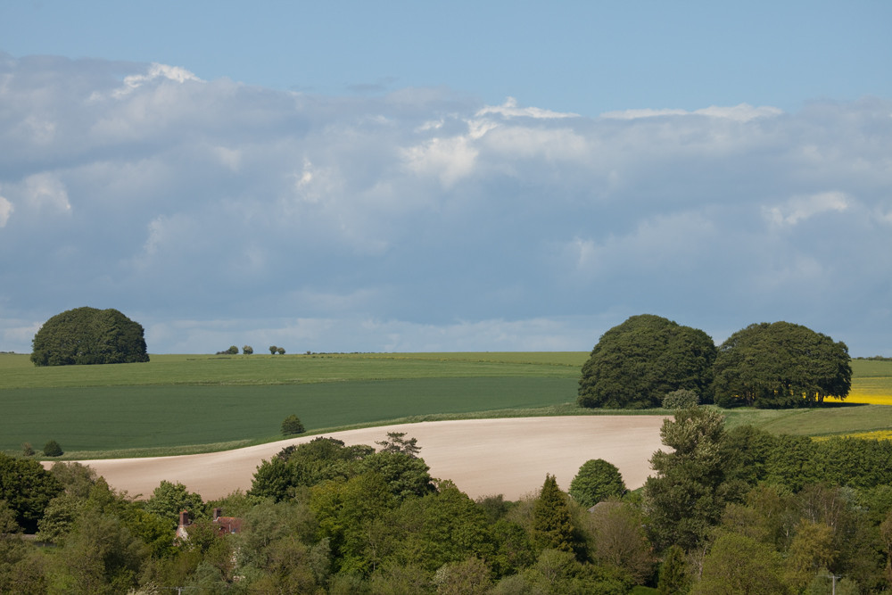 View from West Kennet Long Barrow