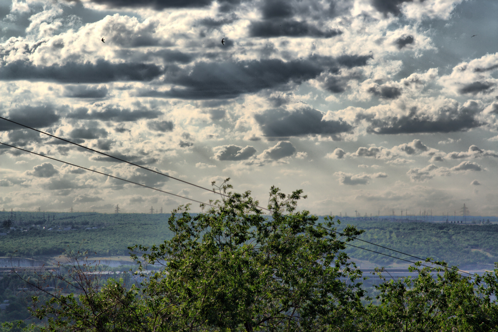 view from window