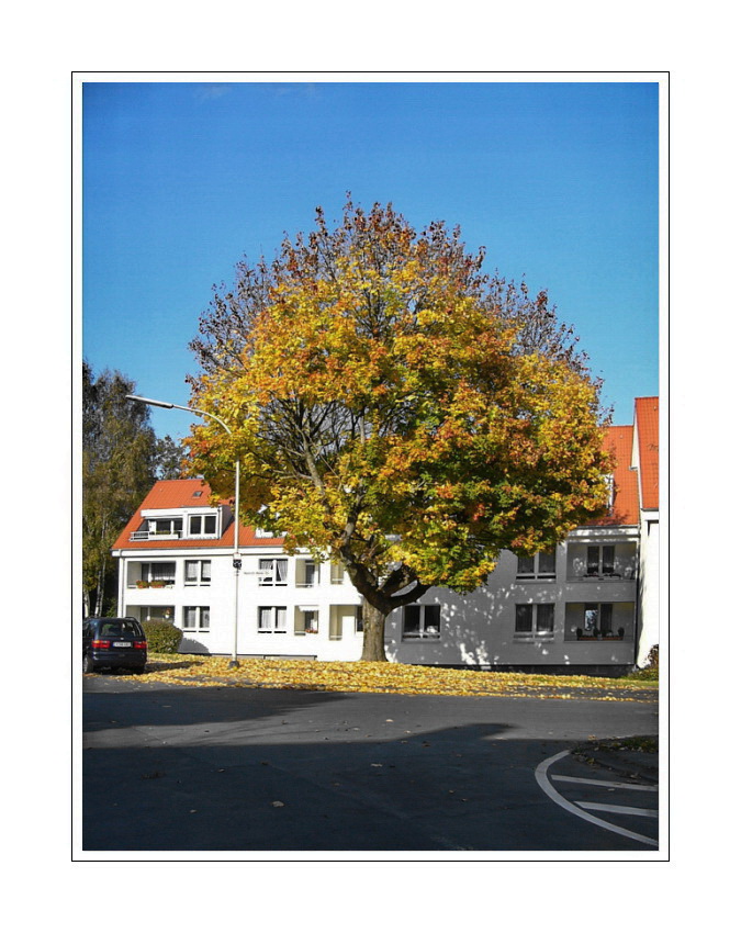 View from Wuppertal-Hammerstein, (Herbst 2007)