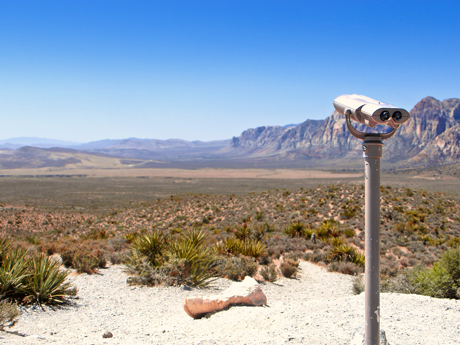 View in the Desert (Nevada)