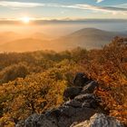 View into Autumn