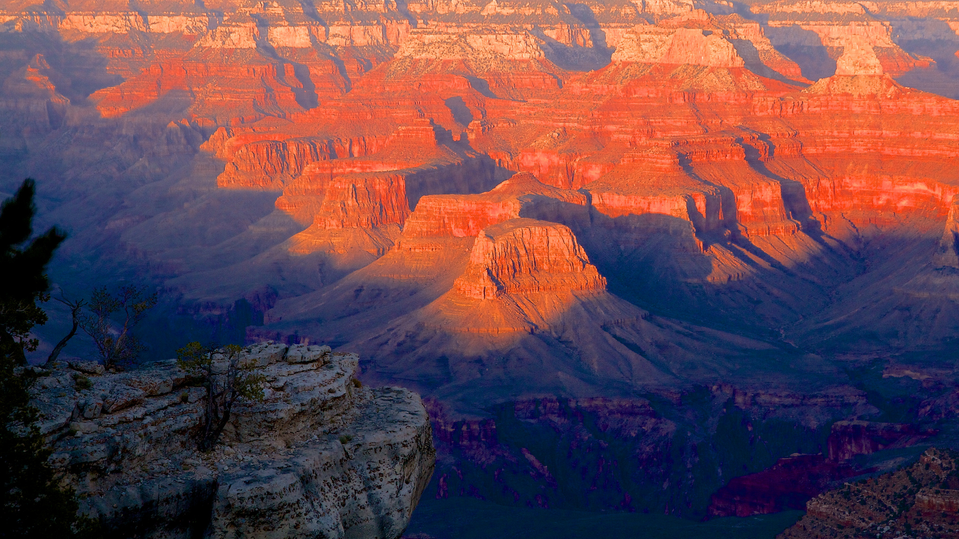 View into Grand Canyon