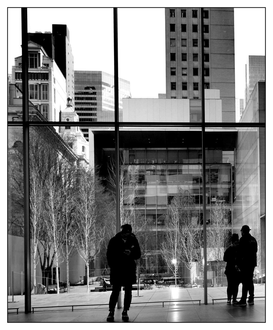 View into the garden at MoMA 