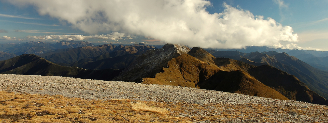 View near Mt. Arthur