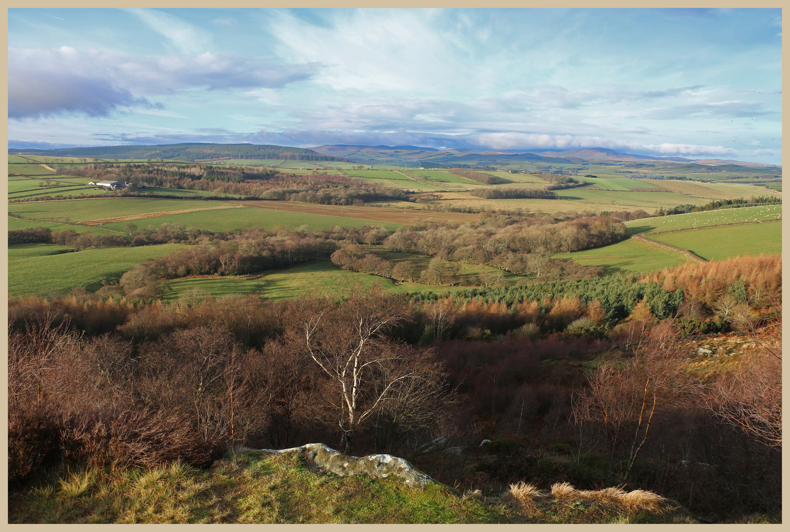 view north from corbys crags Northumberland