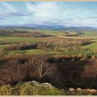 view north from corbys crags Northumberland