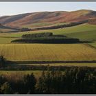 view north from crookhouse