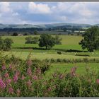 view north from the road to sharperton 5 Northumberland