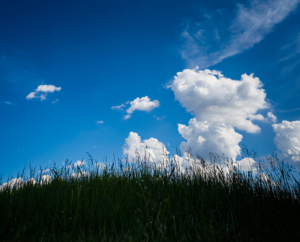 View of a Maulwurf behind his Maulwurfshügel on a lazy summer day