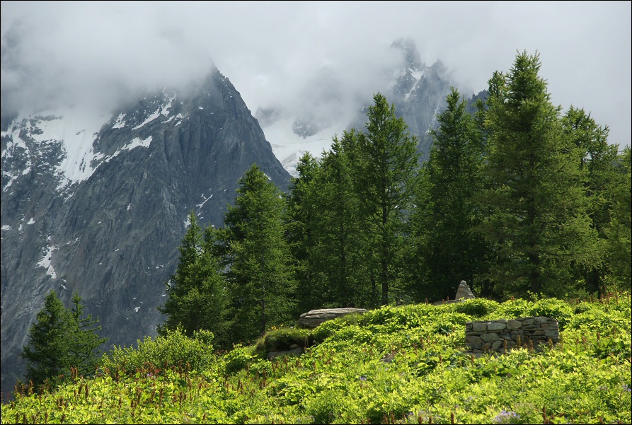 View of Alps