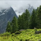 View of Alps