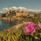 View of Calvi, Corsica