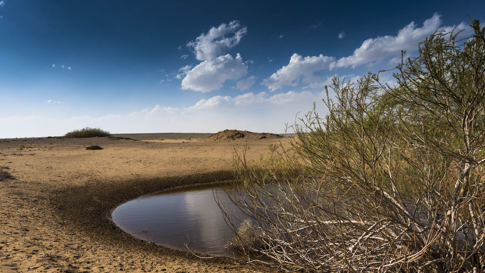 view of desert in mittel of iran