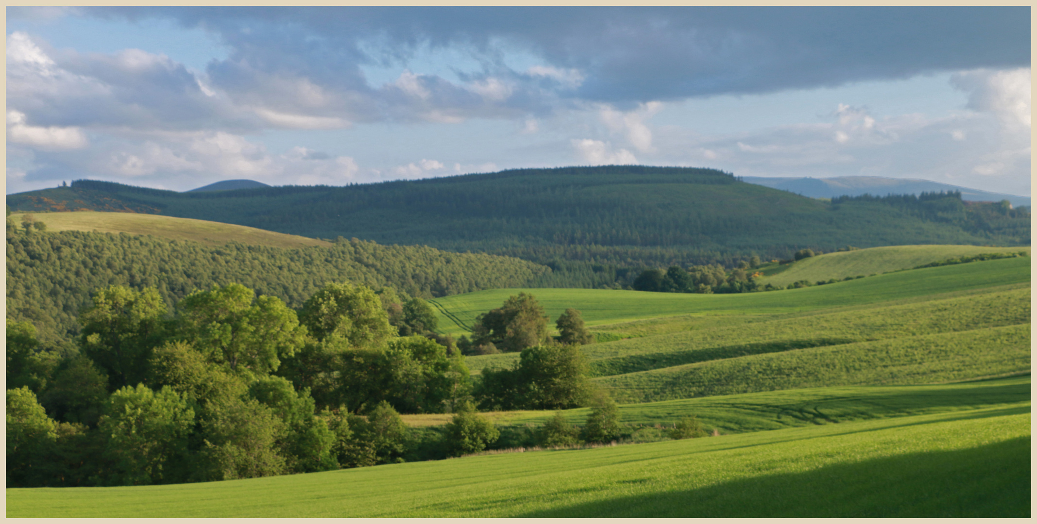 view of Glen Fiddich near Craigellachie 10