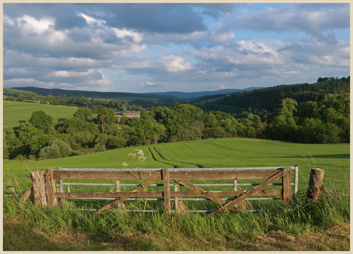 view of Glen Fiddich near Craigellachie 2