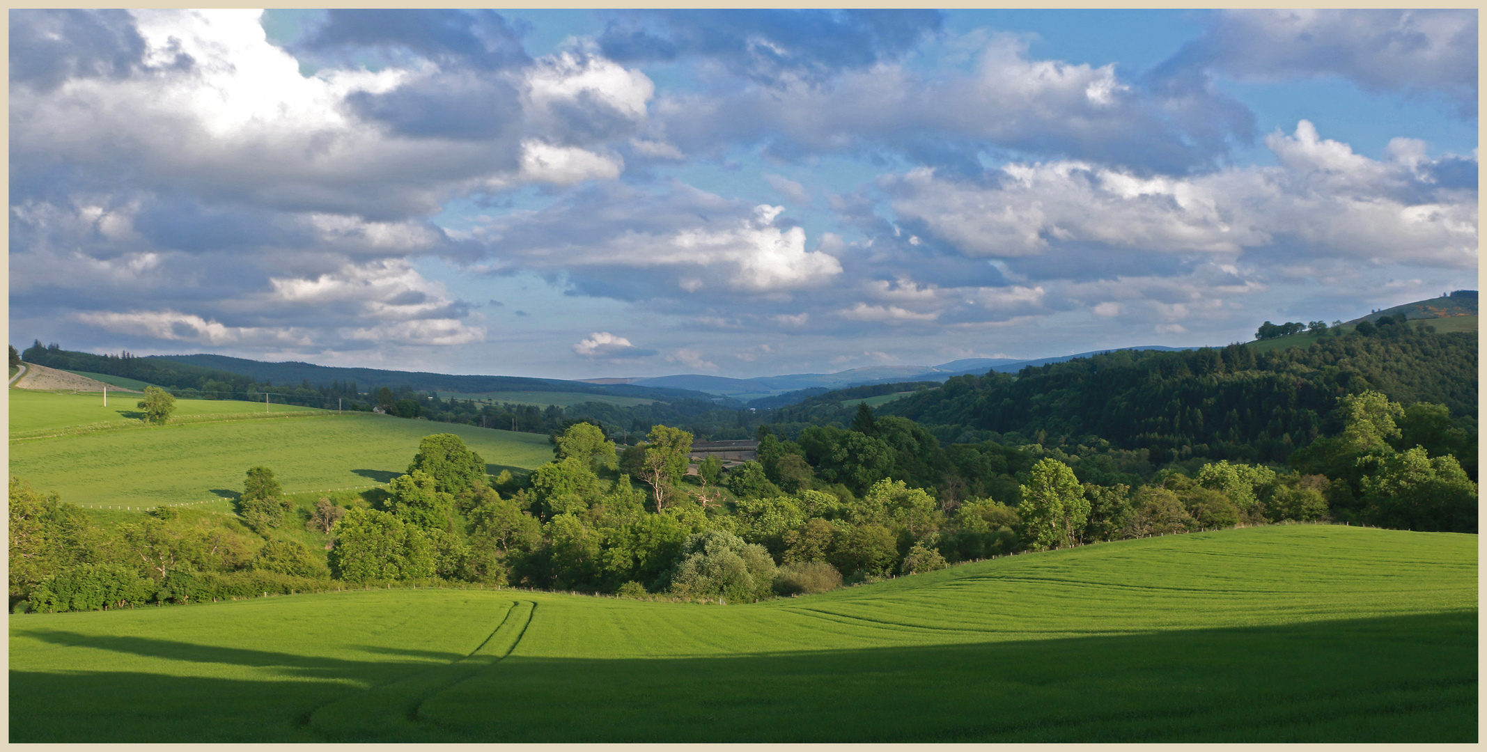 view of Glen Fiddich near Craigellachie 7