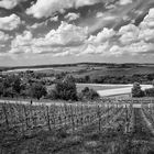 View of Kleinbottwar and the Bottwar Valley