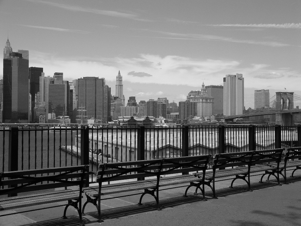 View of Manhattan from the Brooklyn promenade