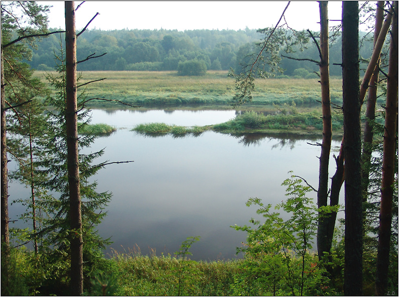 View of Mologa river