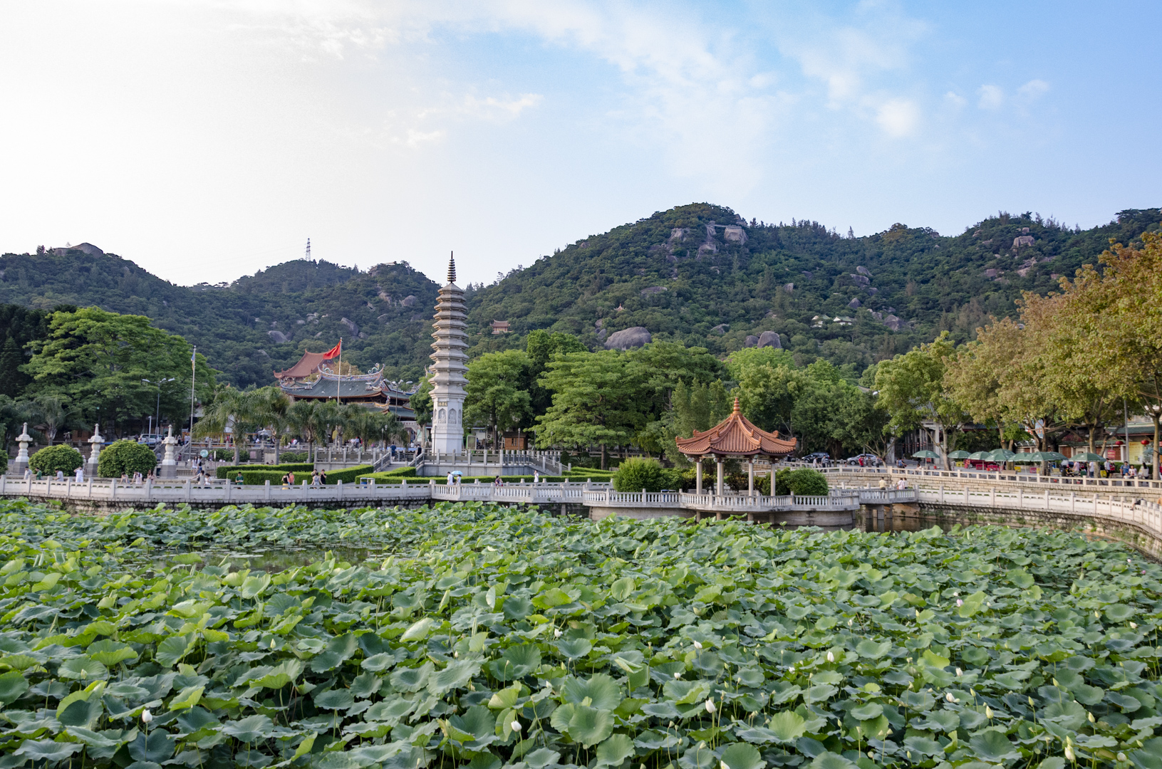 View of Nanputuo Temple and Wulao Peak