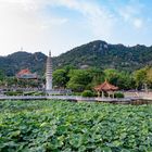 View of Nanputuo Temple and Wulao Peak