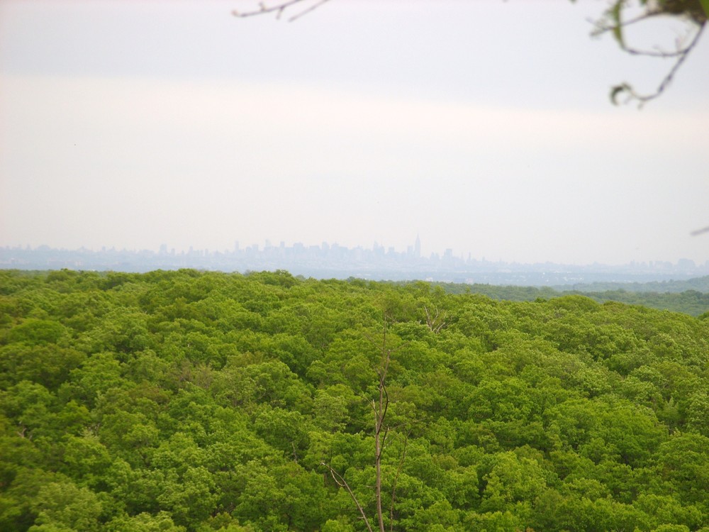 View of New York City