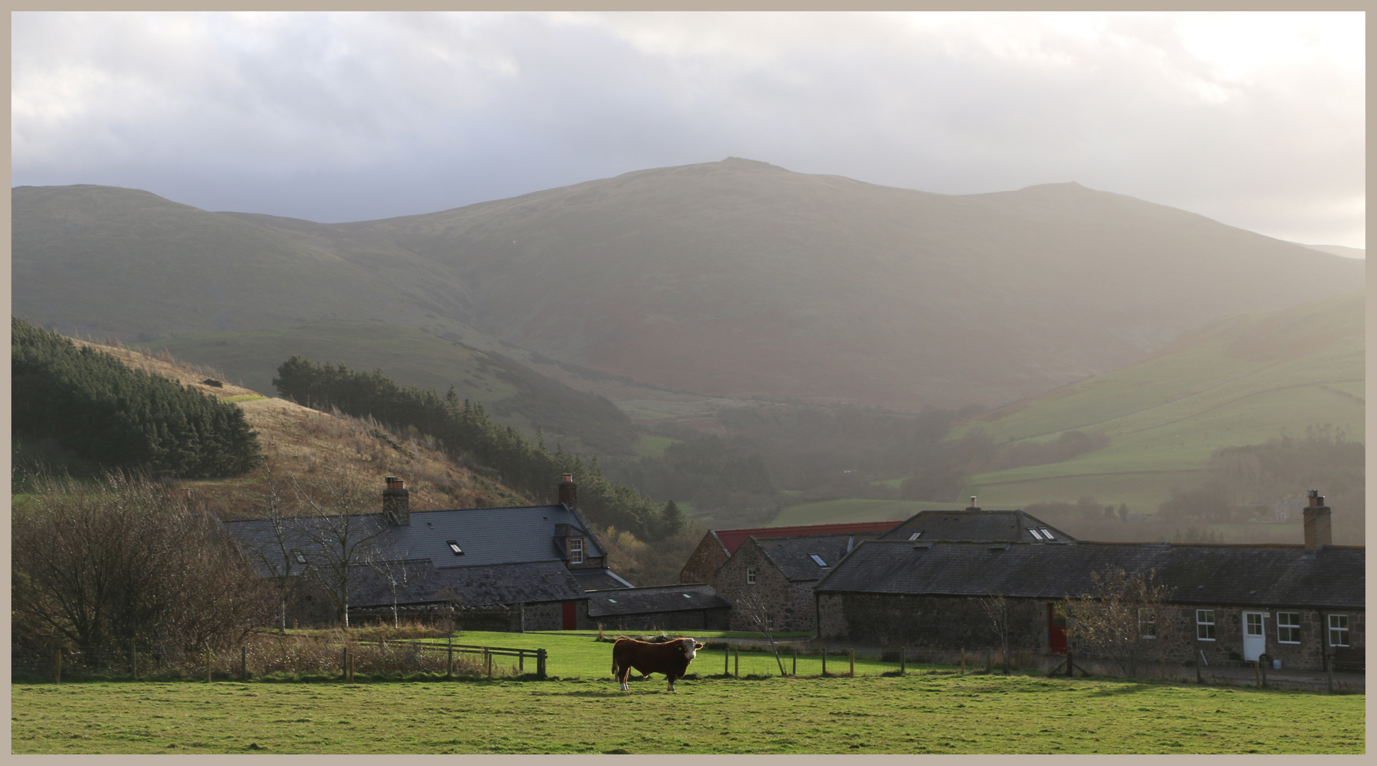 view of newton tors from crookhouse