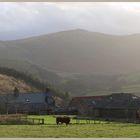 view of newton tors from crookhouse