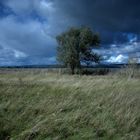 View of stormy clouds and  landscape