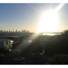 View of Sydney form a park of the Dover Heights