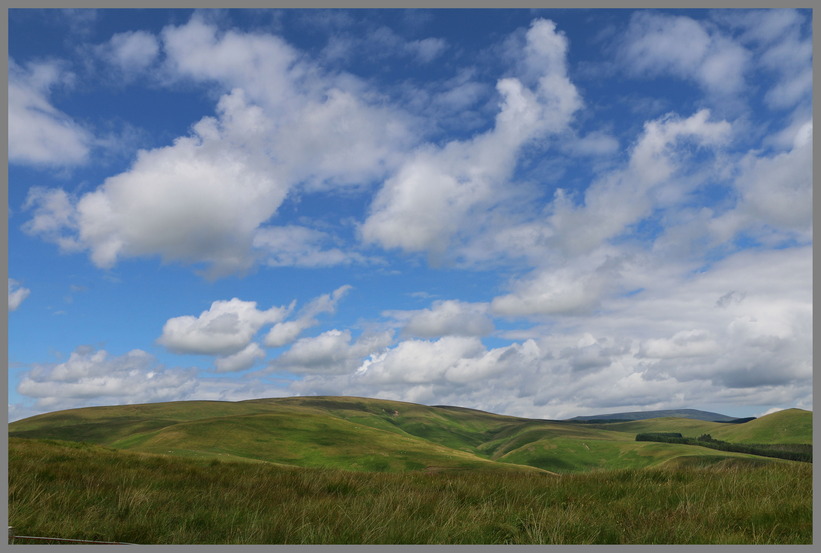 view of the cheviot hills from the Street