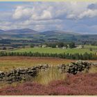 view of the Cheviot hills near cartington in Coquetdale