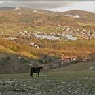 view of the valley