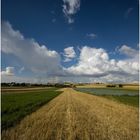 View on fields near Miechów, Malopolska, Poland