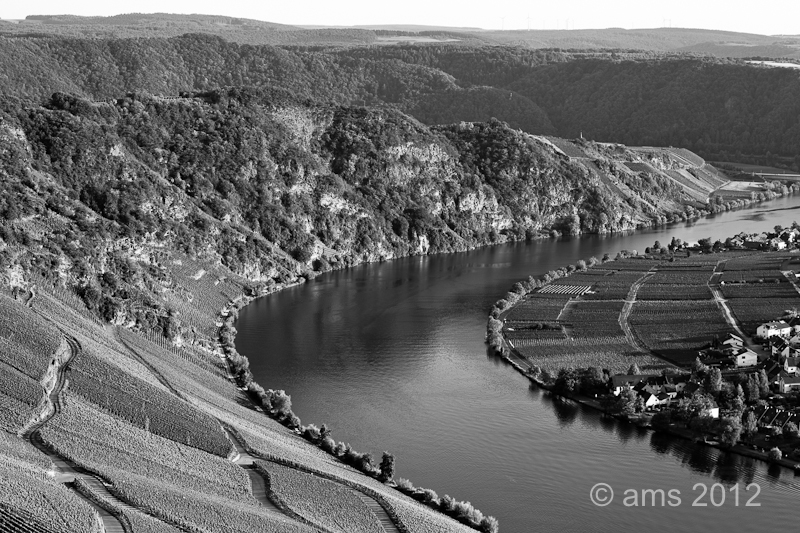 View on the Moselloreley (Piesport)