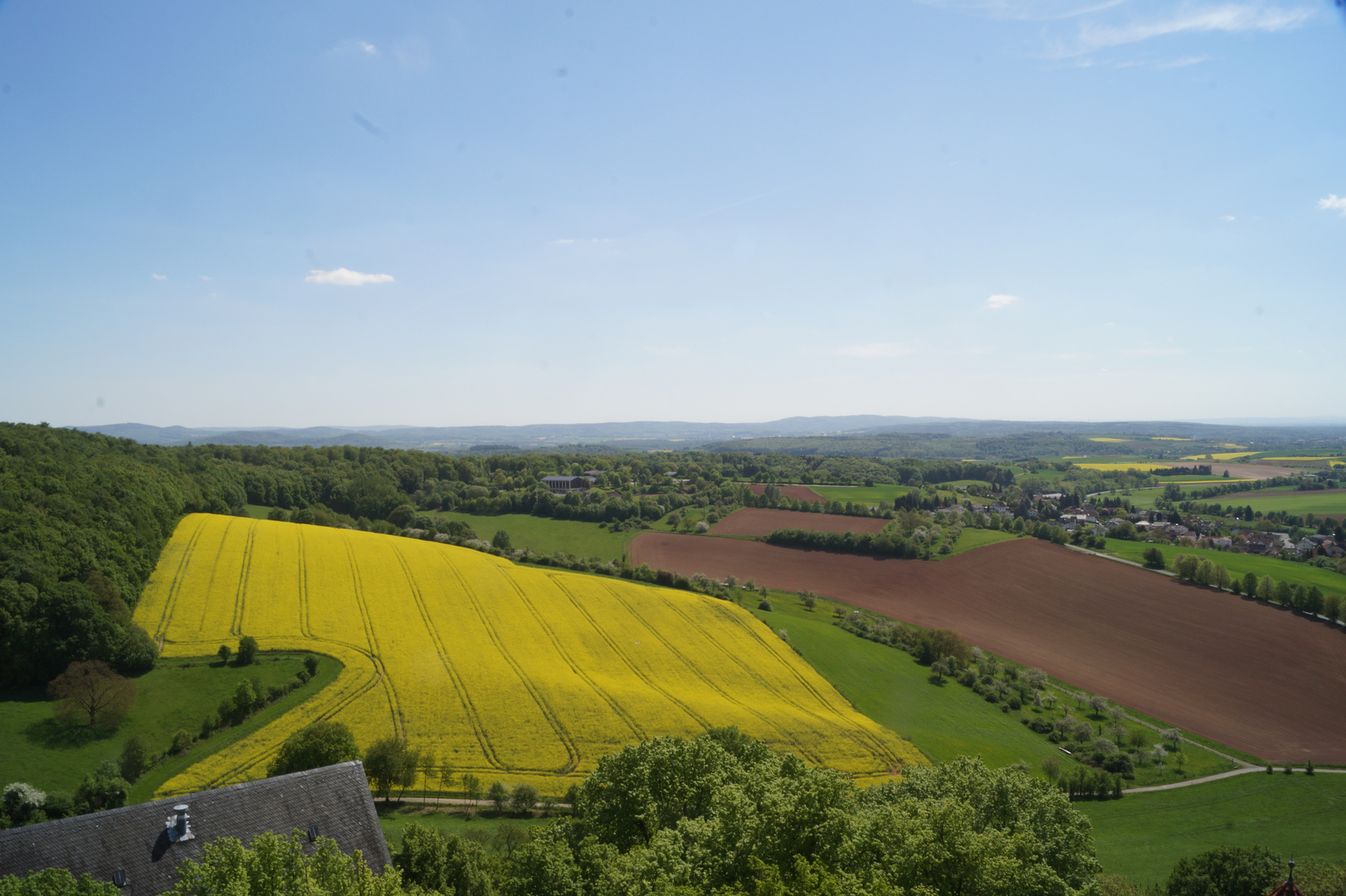 View on the rapefields