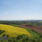View on the rapefields