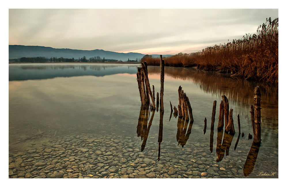 view onto the lake