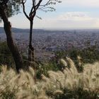 View over Barcelona