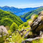 View over Lago di Vogorno