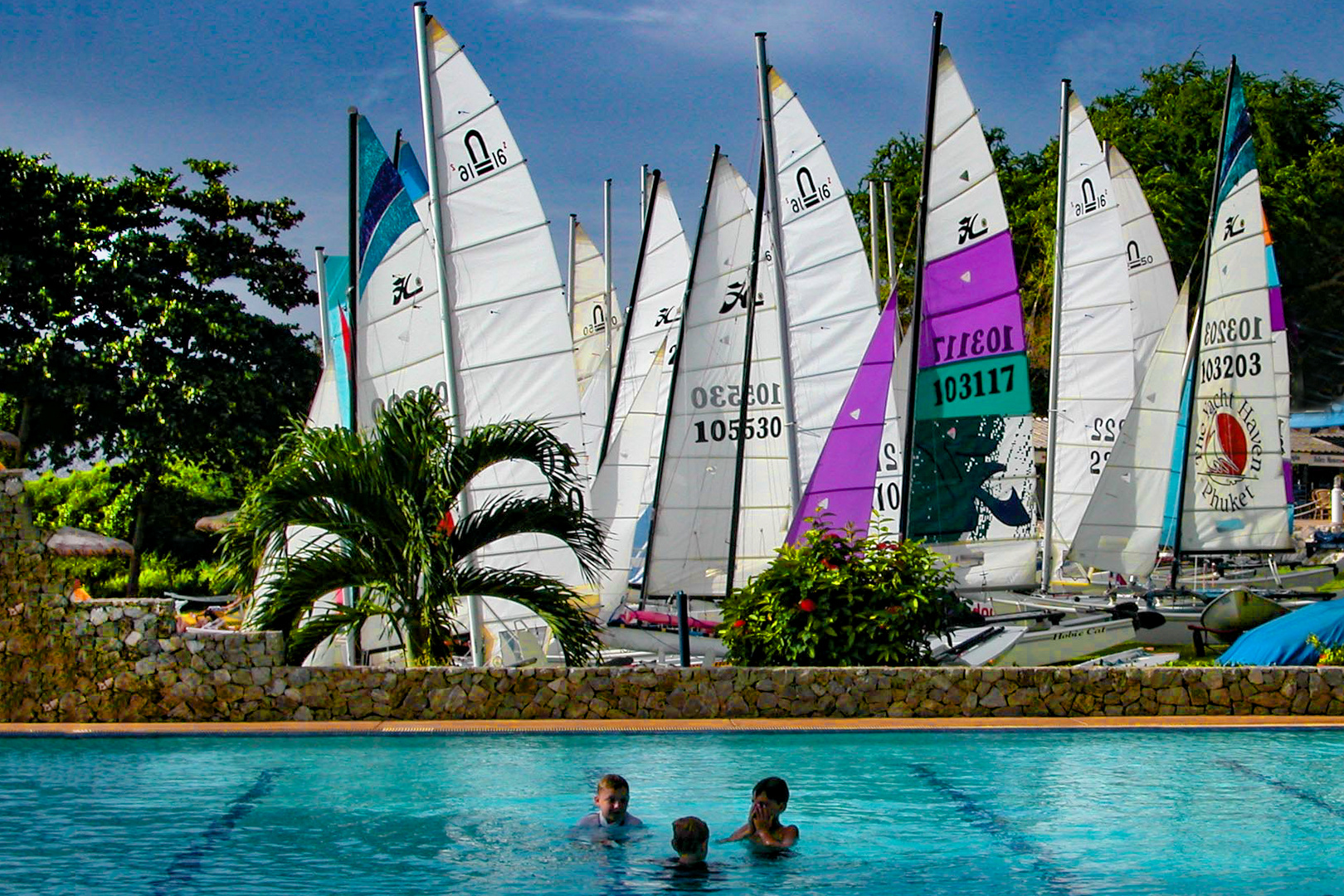 View the Cat boats from pool side