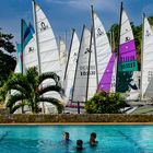 View the Cat boats from pool side