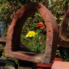 View through the Arch